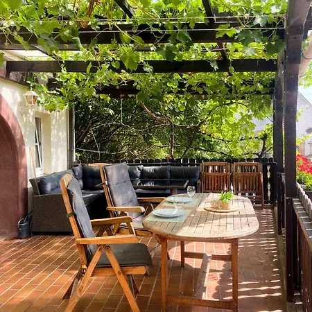 Grosses Glueck Im Waldglueck Pfalz * Gleisweiler