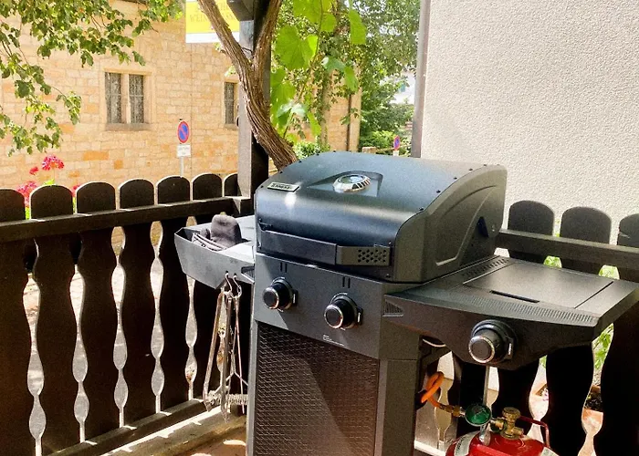 Grosses Glueck Im Waldglueck Pfalz * Gleisweiler